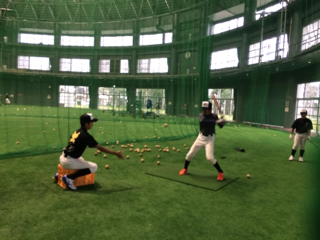 沖縄ダイヤモンドポニーの公式掲載画像