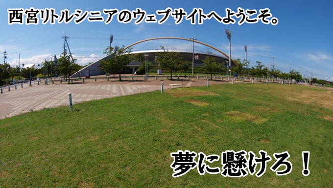 西宮リトルシニアの公式掲載画像