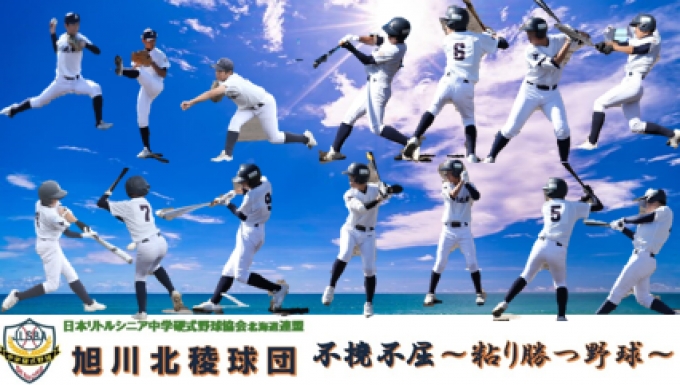 旭川北稜リトルシニアの公式掲載画像