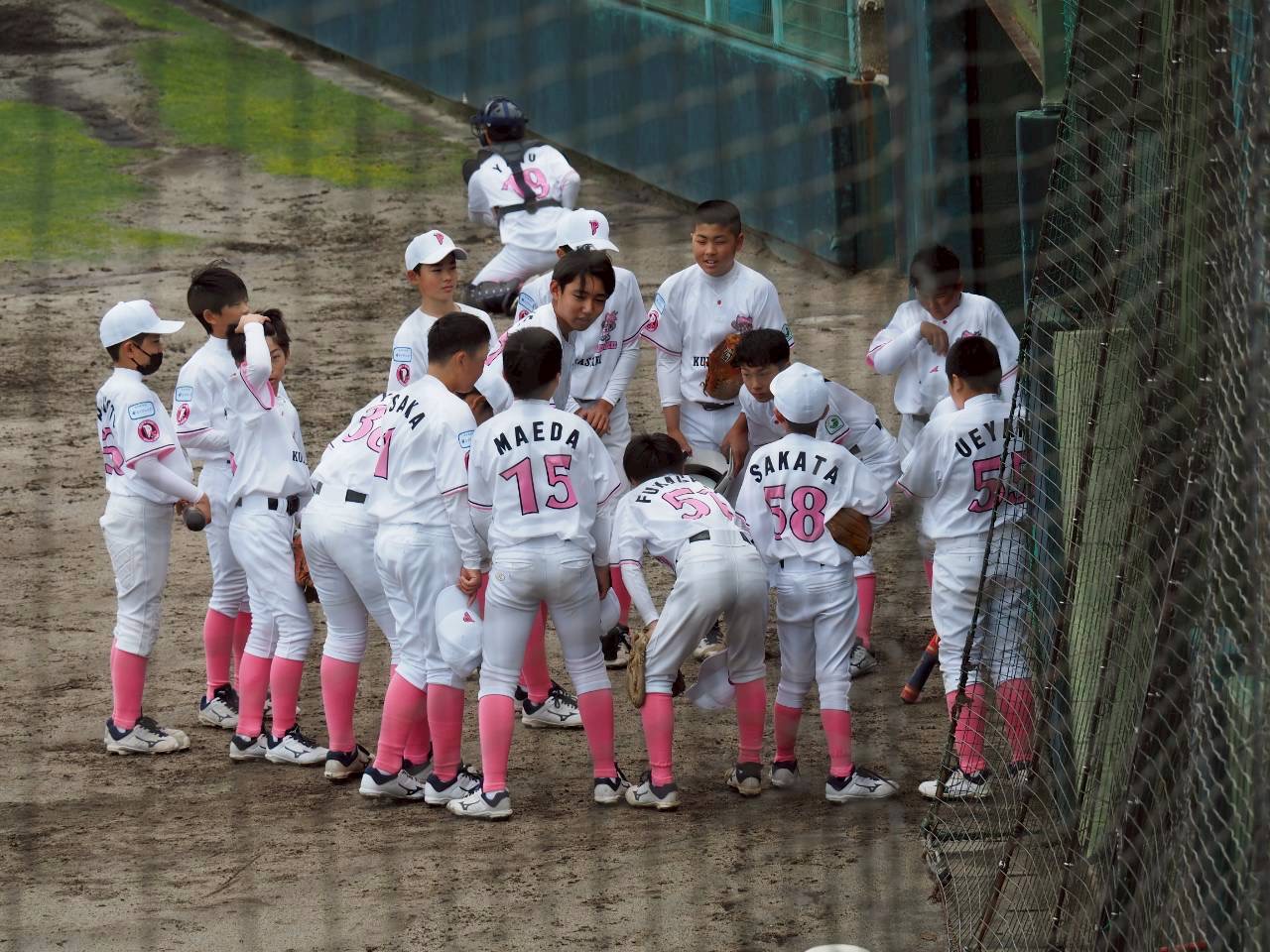 ヤング倉敷ピーチジャックスの公式掲載画像