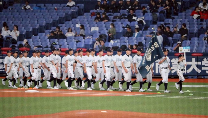 八尾リトルシニアの公式掲載画像