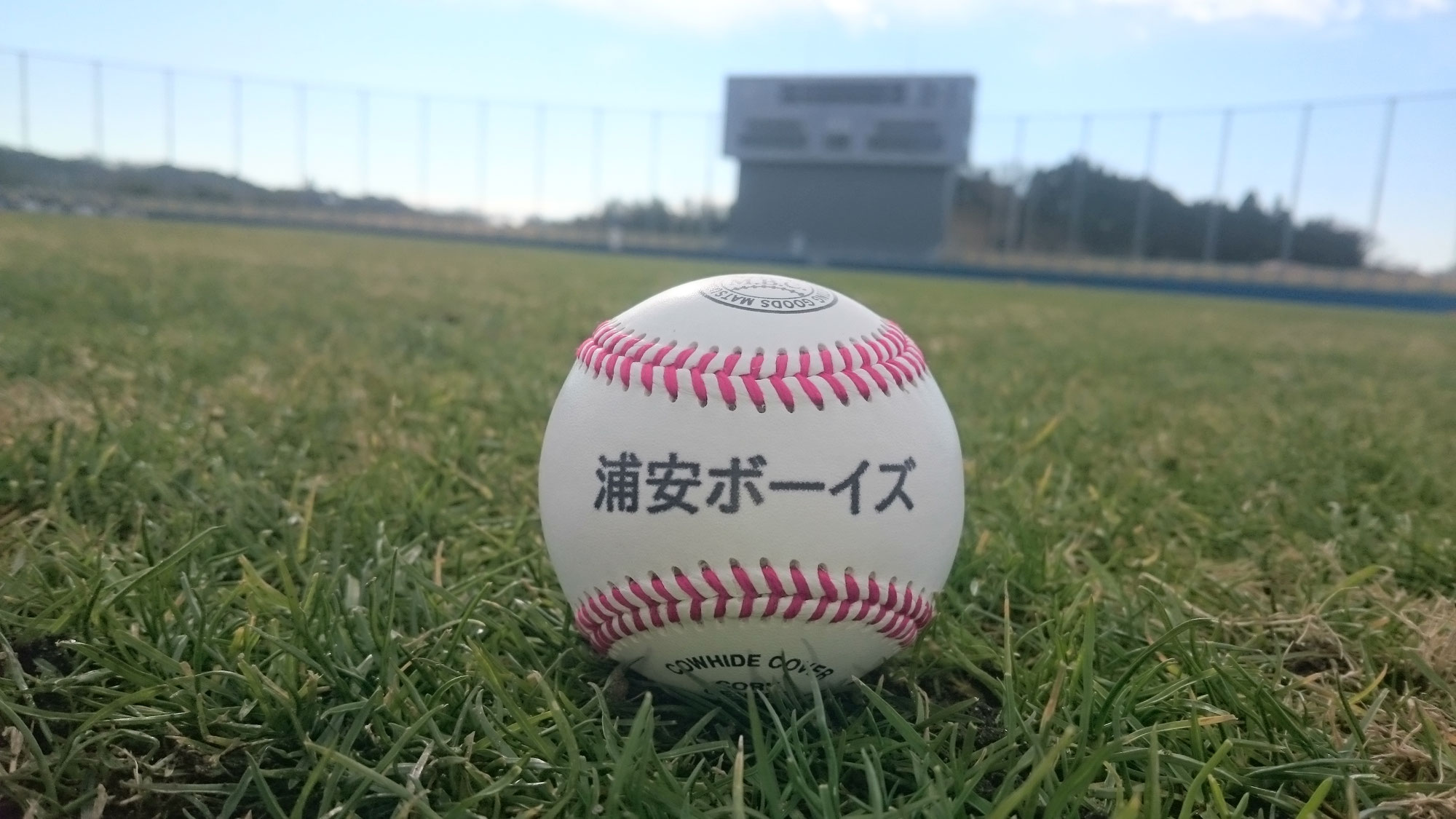 浦安ボーイズの公式掲載画像