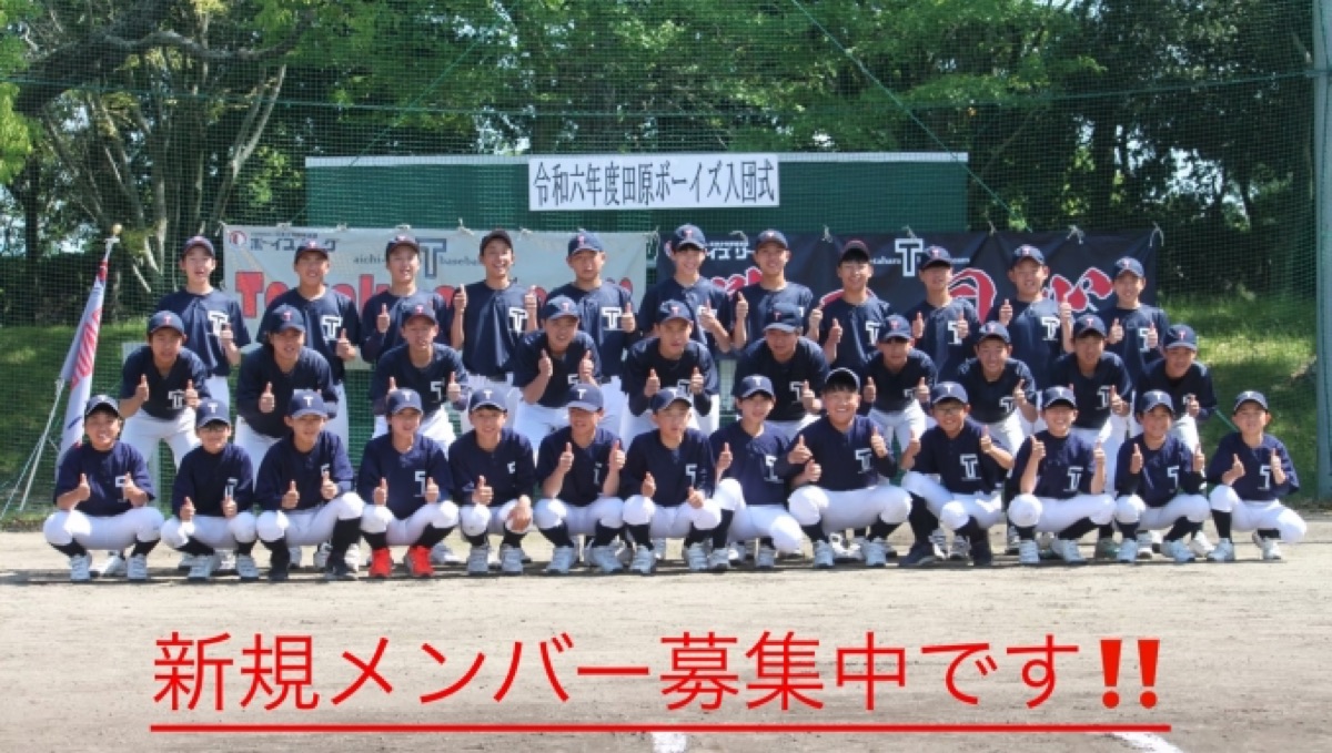 田原ボーイズの公式掲載画像