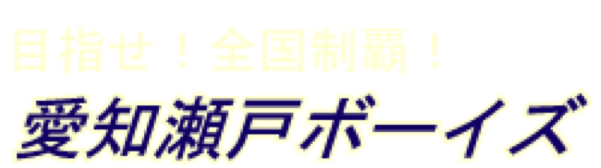 愛知瀬戸ボーイズの掲載画像