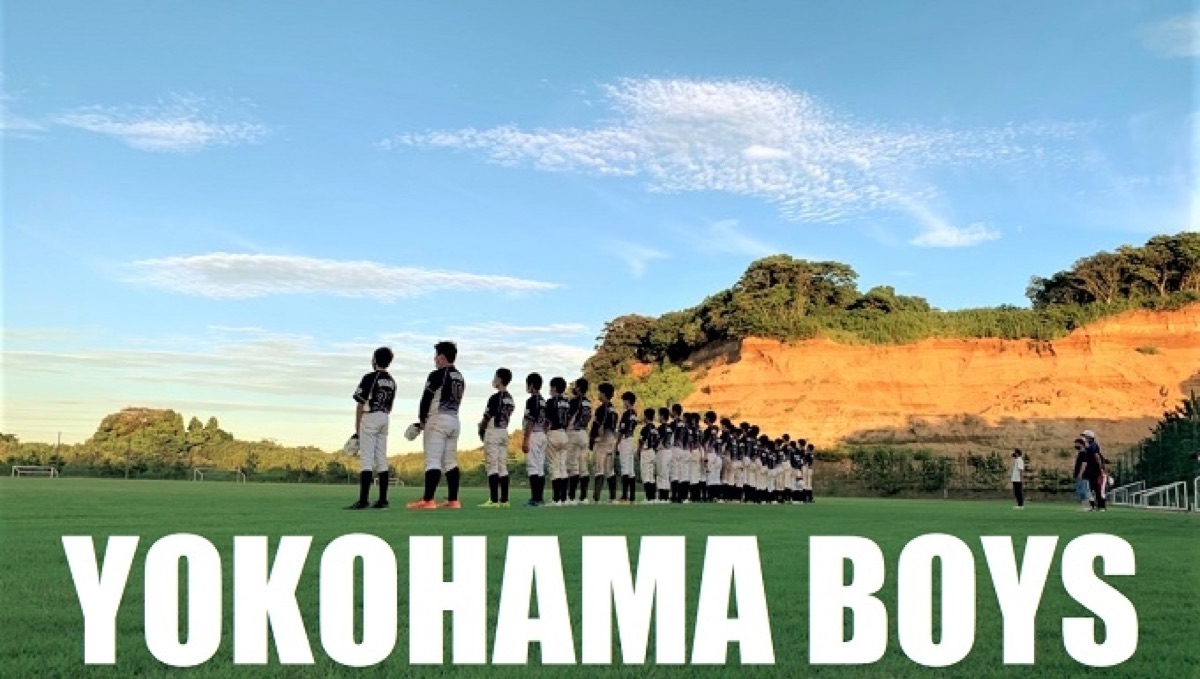 横浜ボーイズの公式掲載画像
