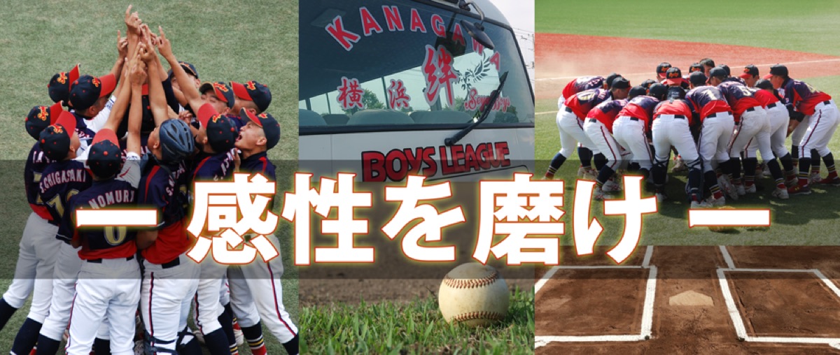 横浜瀬谷ボーイズの掲載画像