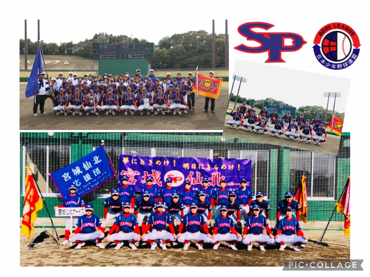 宮城仙北ボーイズの公式掲載画像