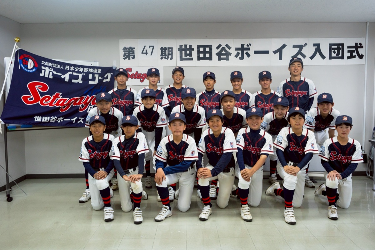 世田谷ボーイズの公式掲載画像