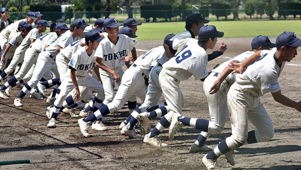 東京江戸川ボーイズの公式掲載画像