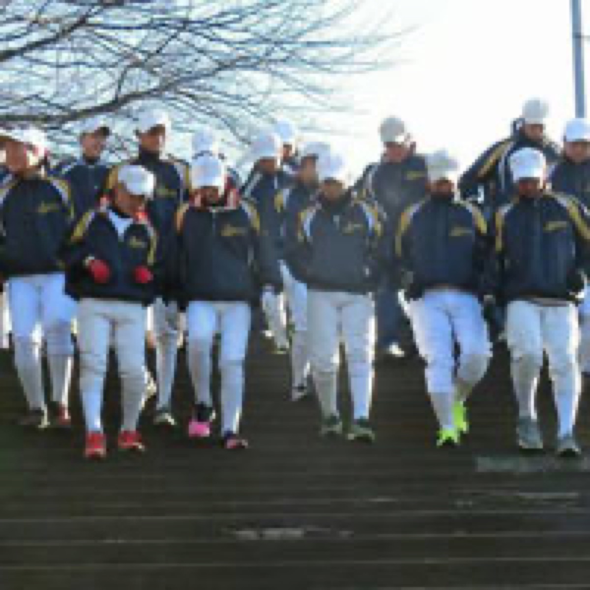 千葉ポニーの公式掲載画像
