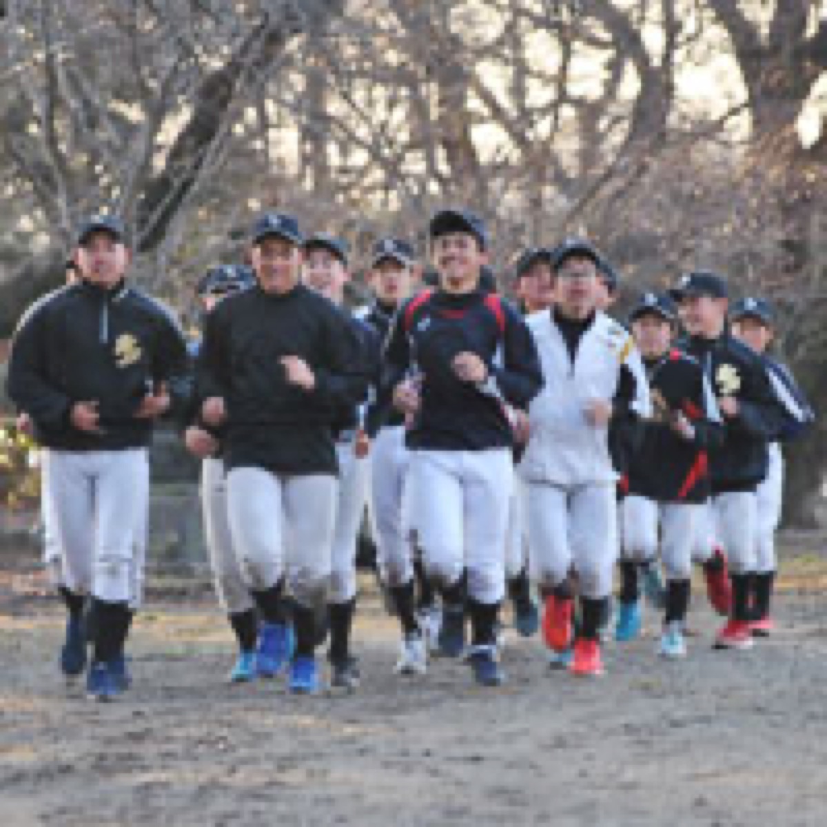 宇都宮ポニーの公式掲載画像