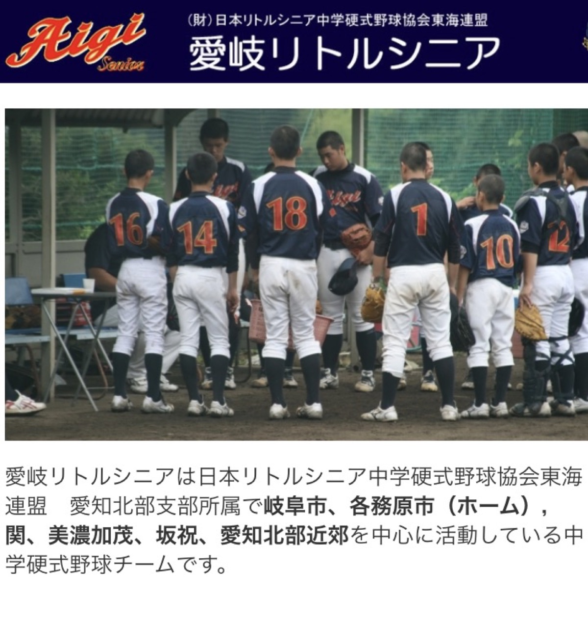 愛岐リトルシニアの公式掲載画像