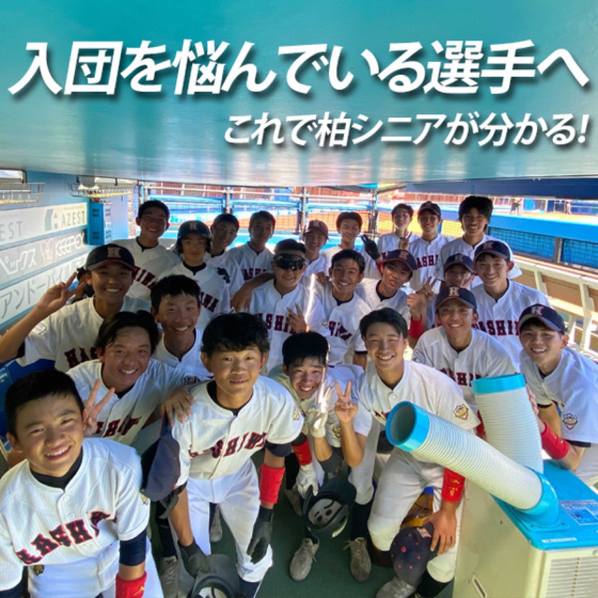 柏リトルシニアの公式掲載画像