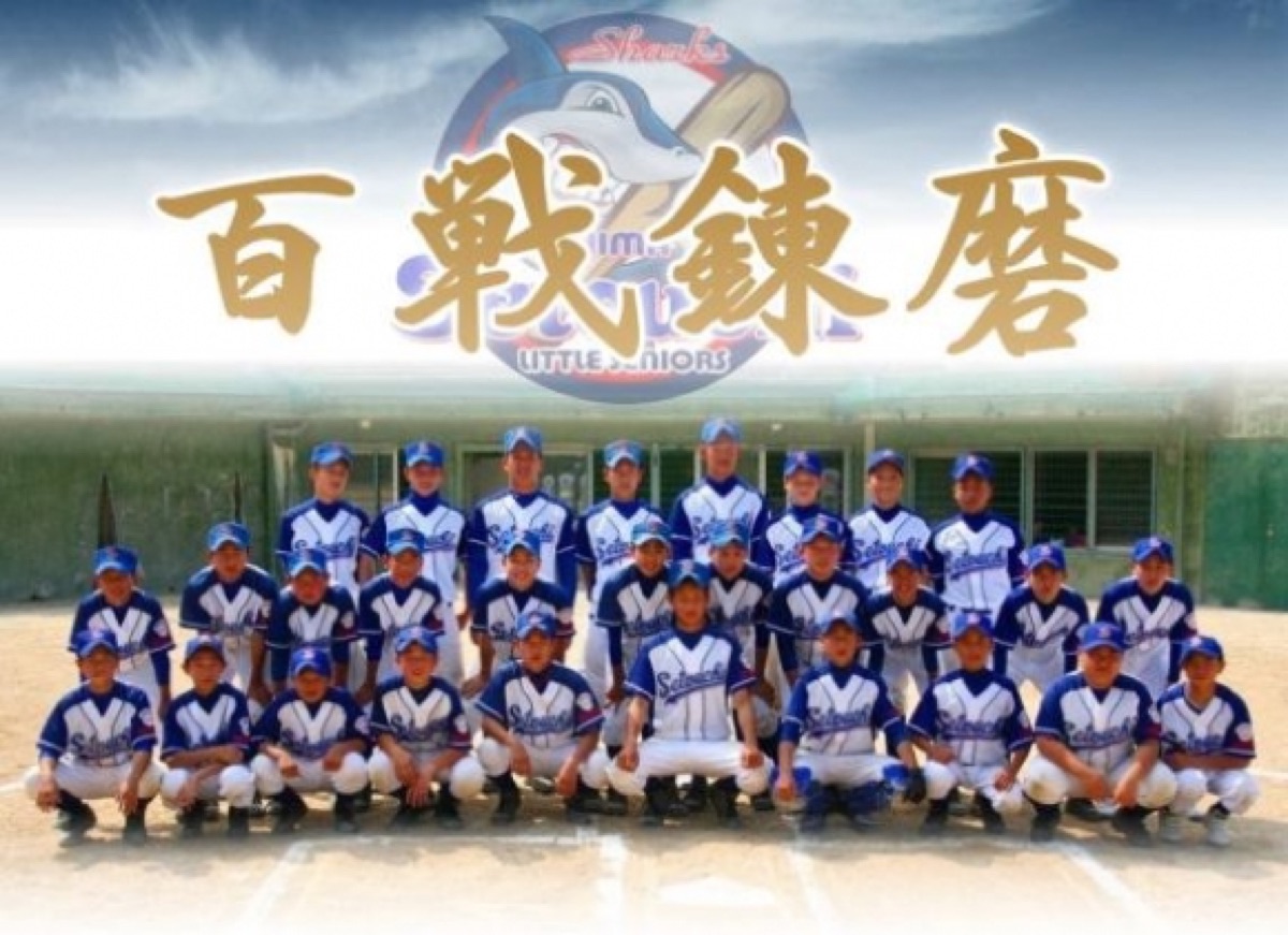 広島瀬戸内リトルシニアの公式掲載画像
