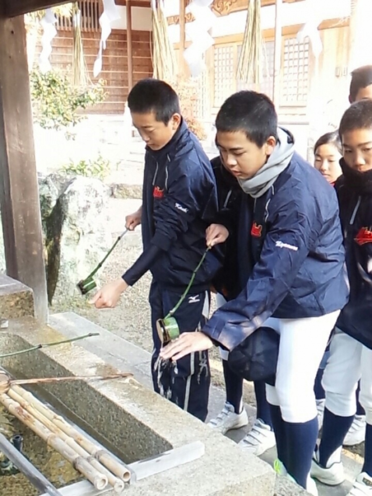 神戸箕谷リトルシニアの掲載画像