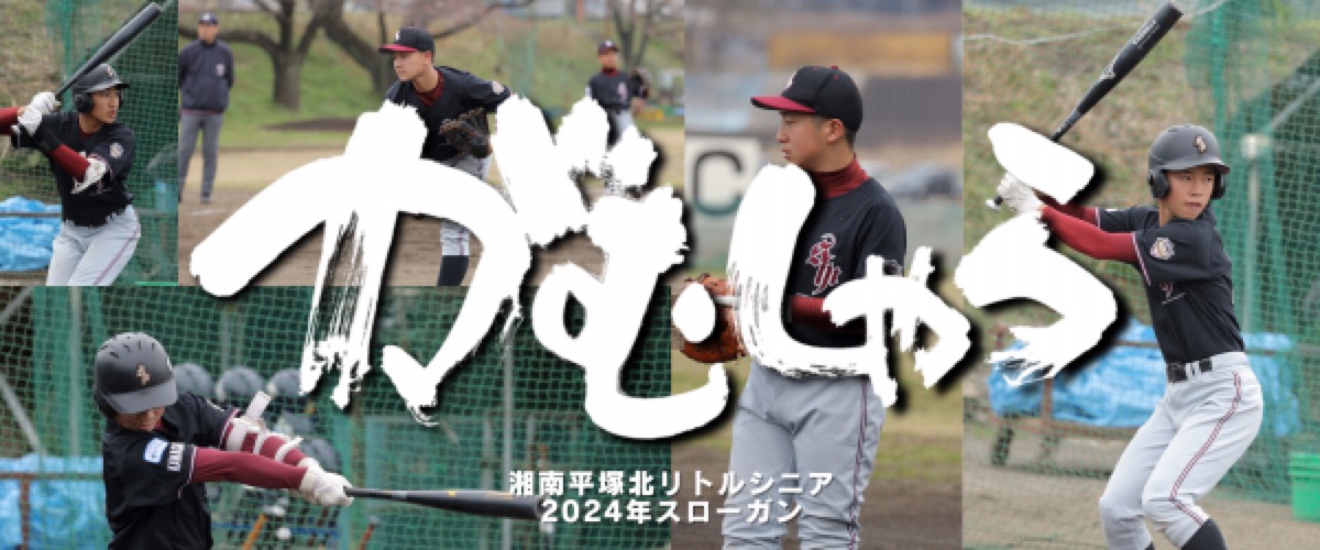 湘南平塚北リトルシニアの公式掲載画像