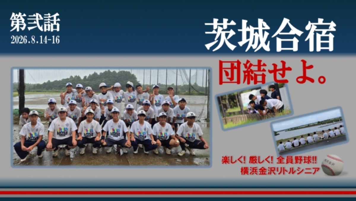横浜金沢リトルシニアの掲載画像