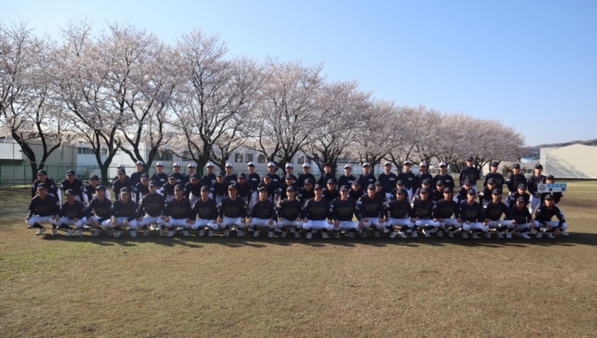 秦野リトルシニアの掲載画像