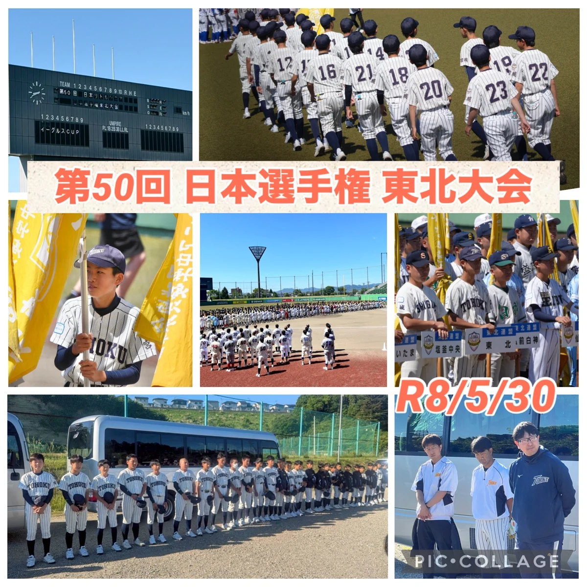 東北リトルシニアの掲載画像