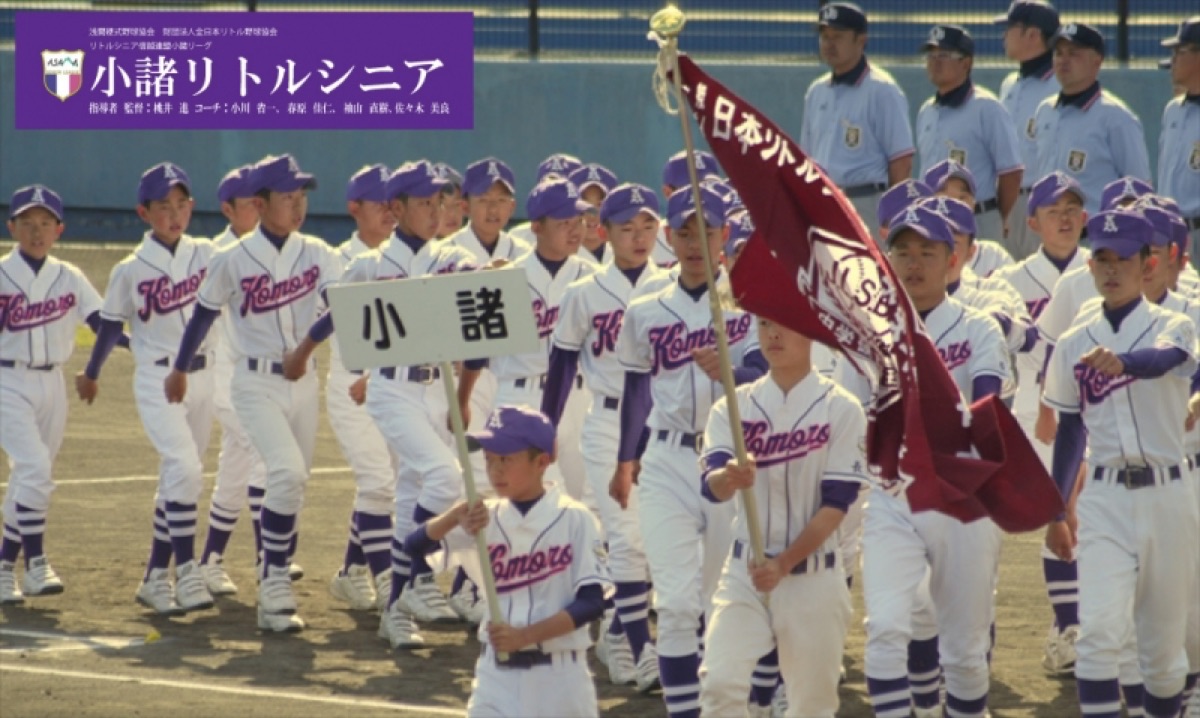 小諸リトルシニアの掲載画像