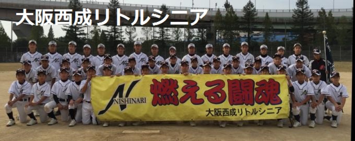 大阪西成リトルシニアの公式掲載画像