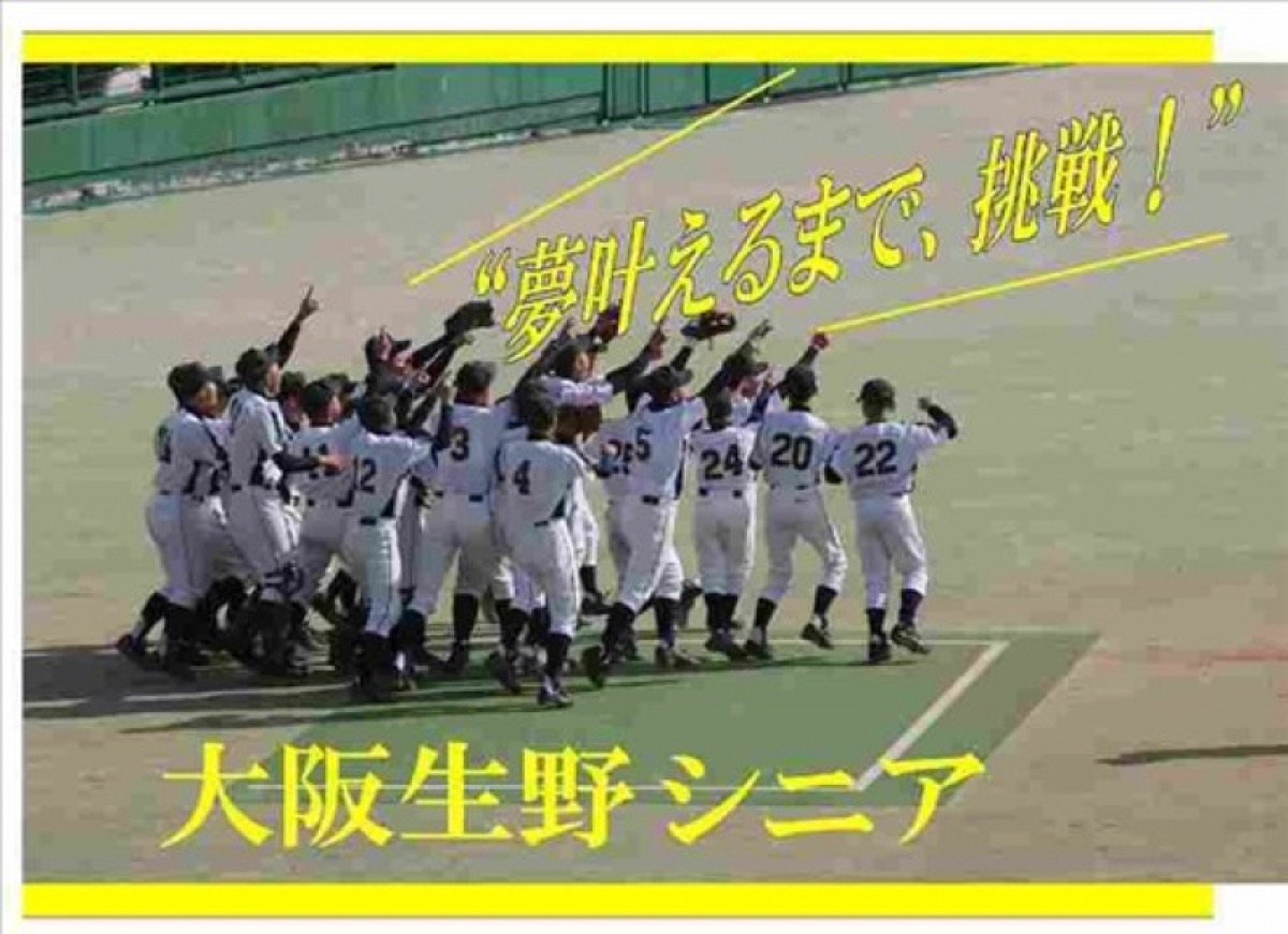 大阪生野リトルシニアの公式掲載画像