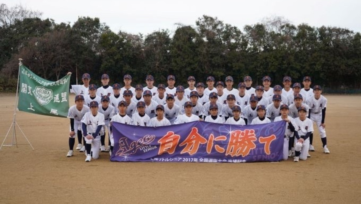 上尾リトルシニアの公式掲載画像