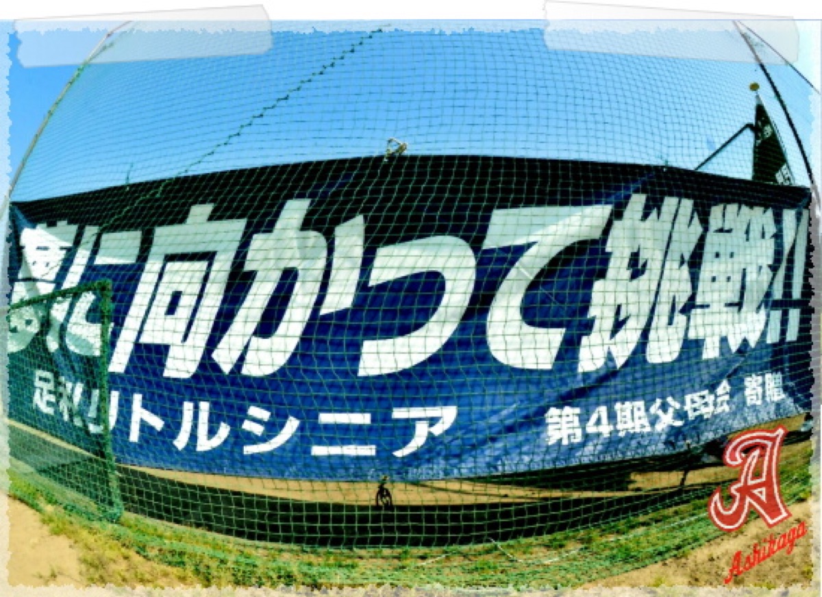 足利リトルシニア PR掲載画像