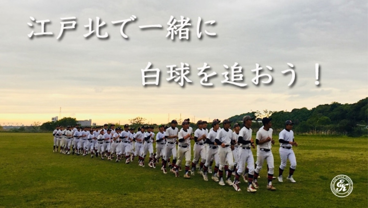江戸川北リトルシニアの掲載画像