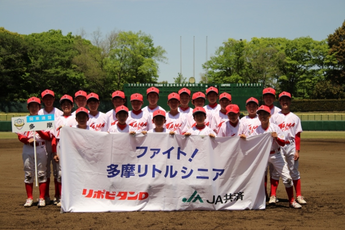 多摩リトルシニアの公式掲載画像