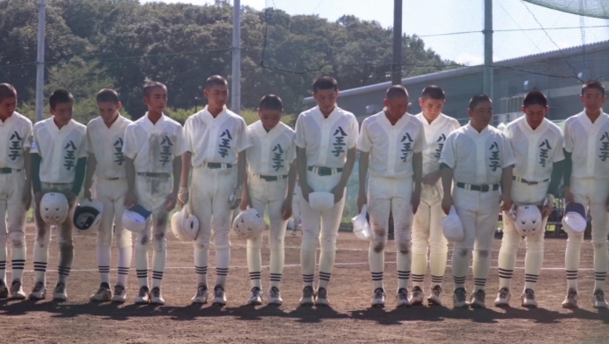 八王子リトルシニアの公式掲載画像
