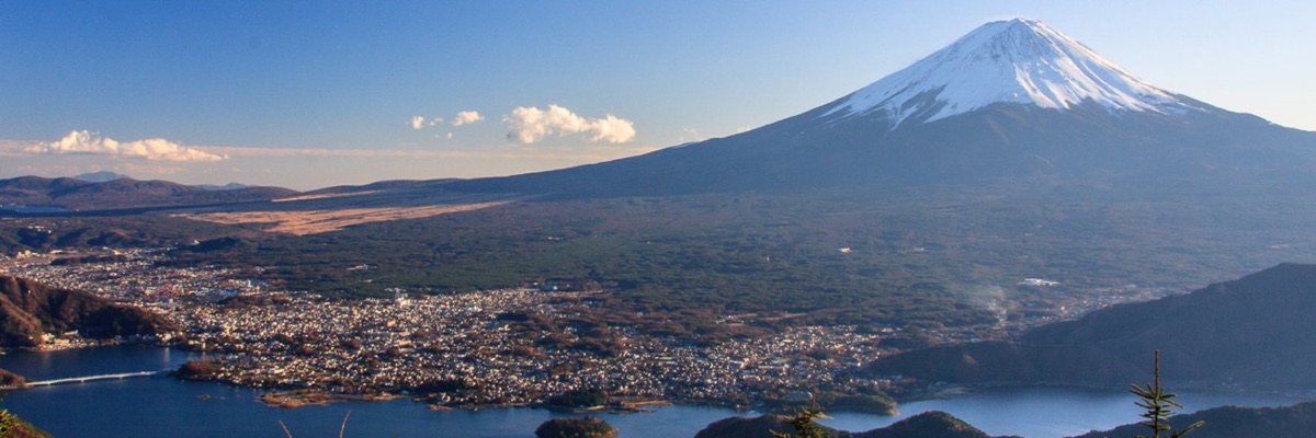 富士河口湖リトルシニアの掲載画像