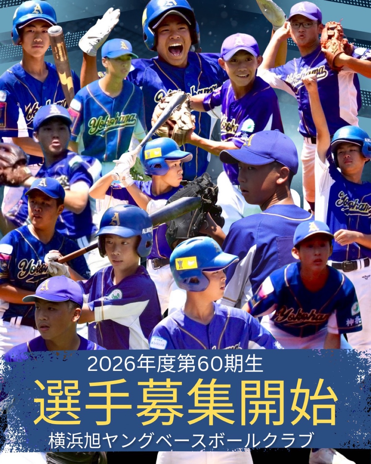 横浜旭ヤングベースボールクラブの掲載画像