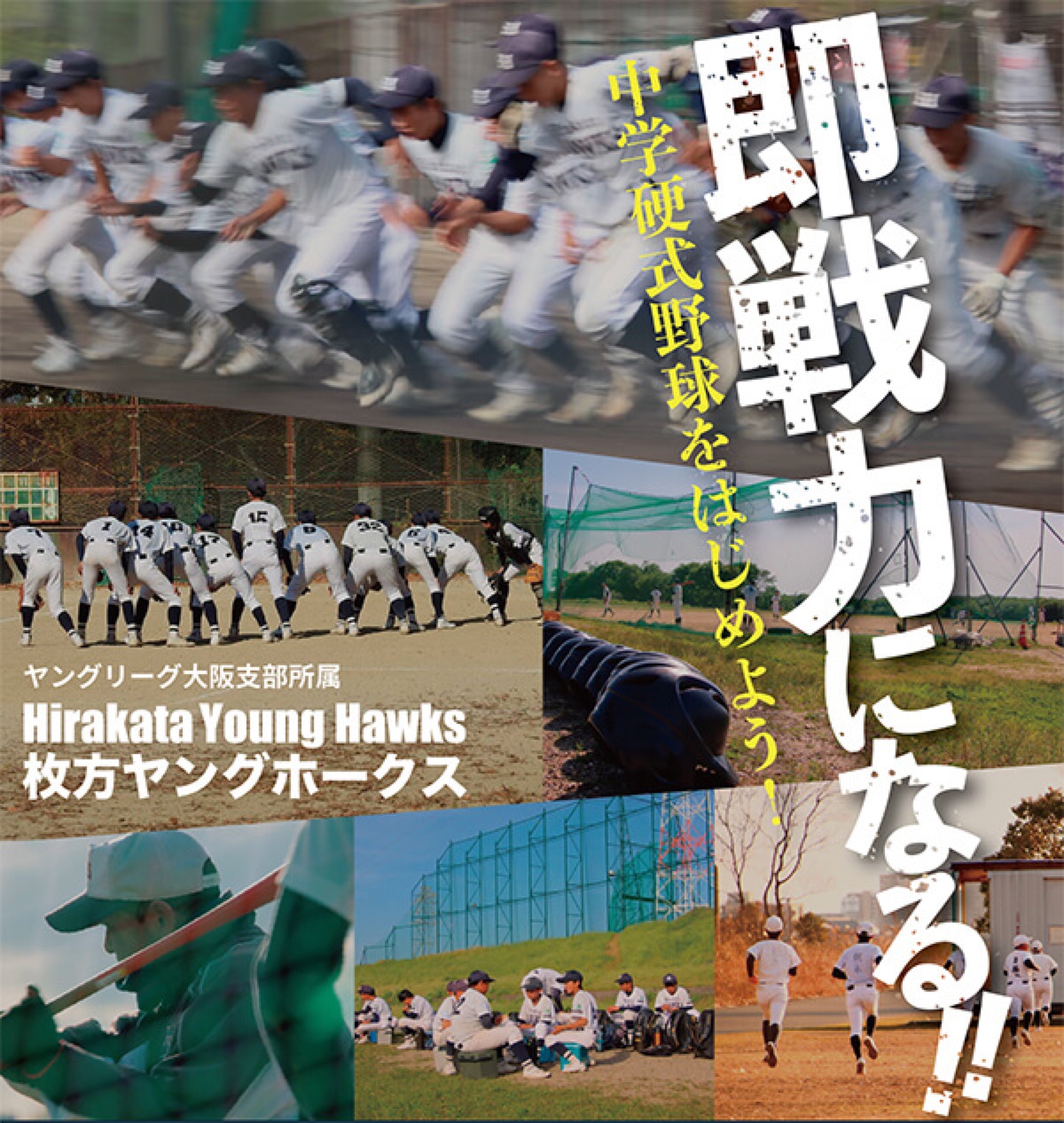 枚方ヤングホークスの公式掲載画像